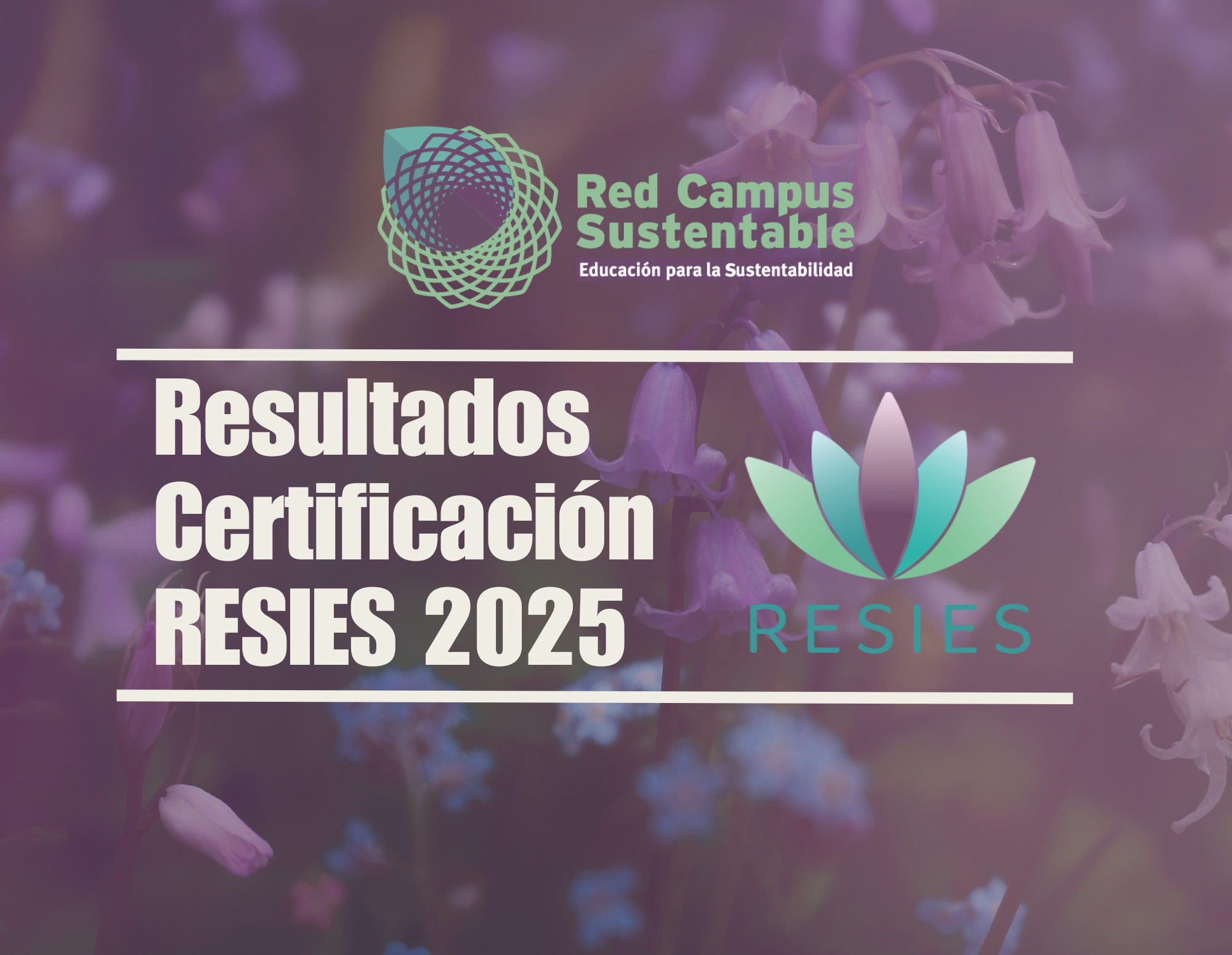 Imagen destacada de la página con el documento de Resultados de Certificación RESIES.