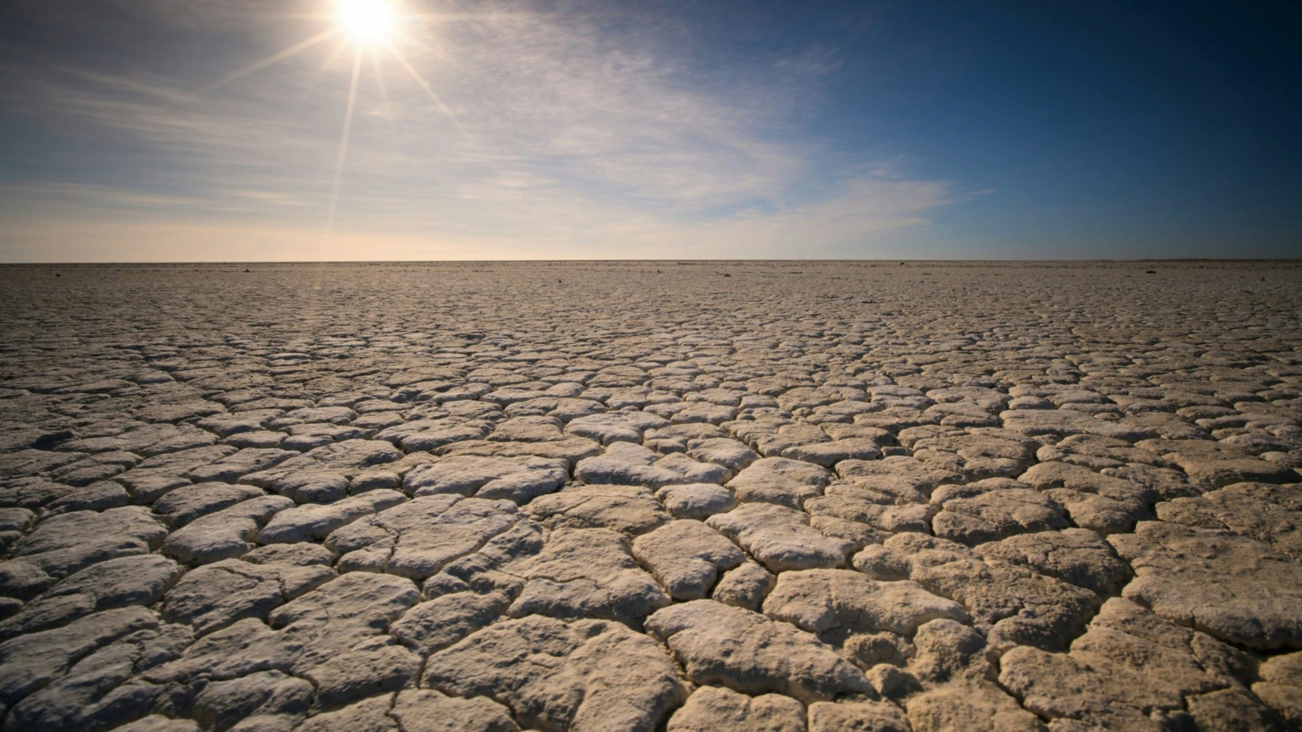 Imagen con un páramo árido en representación de la Sequía y la Desertificación