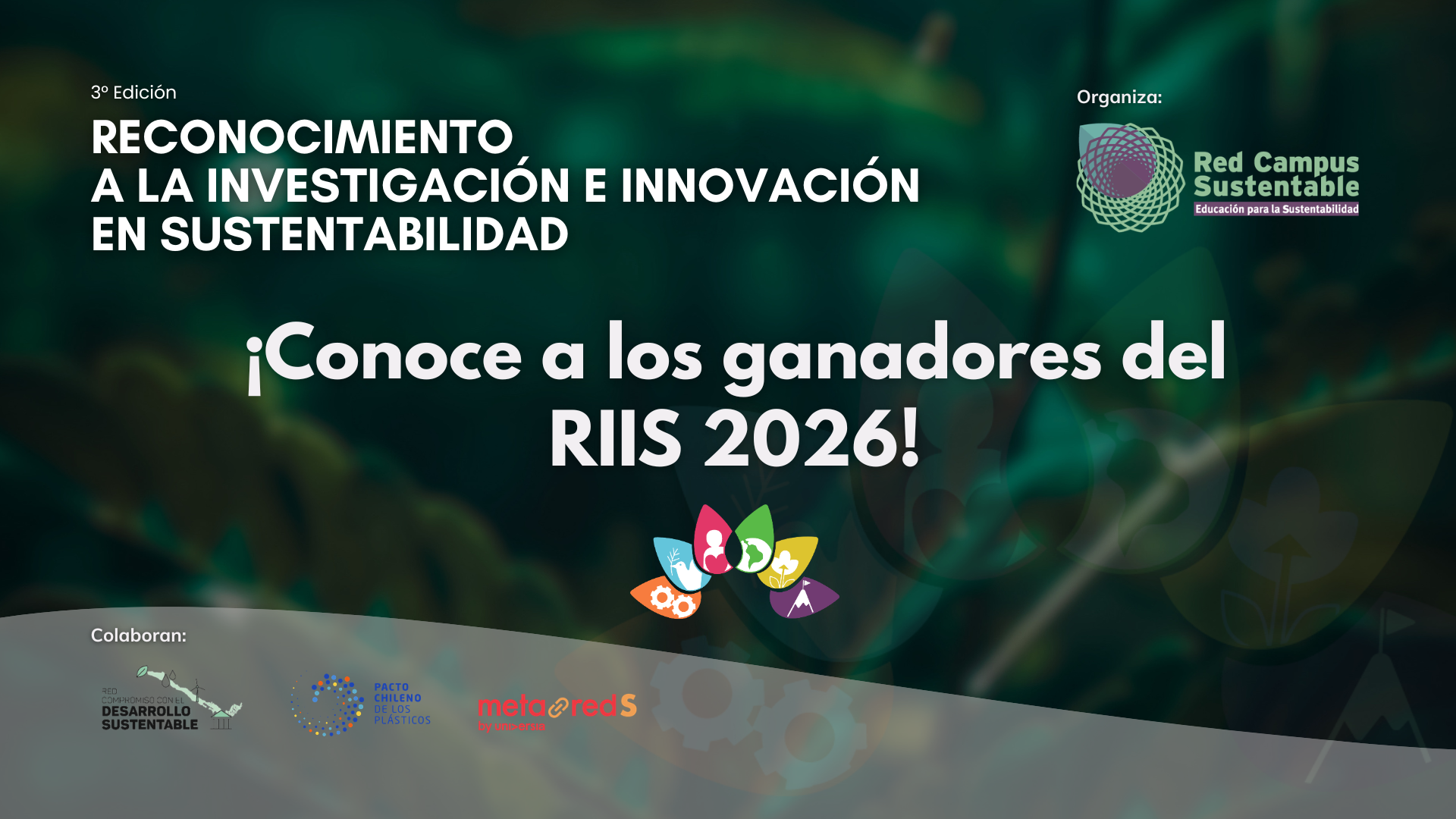 Portada Ganadores RIIS 2026