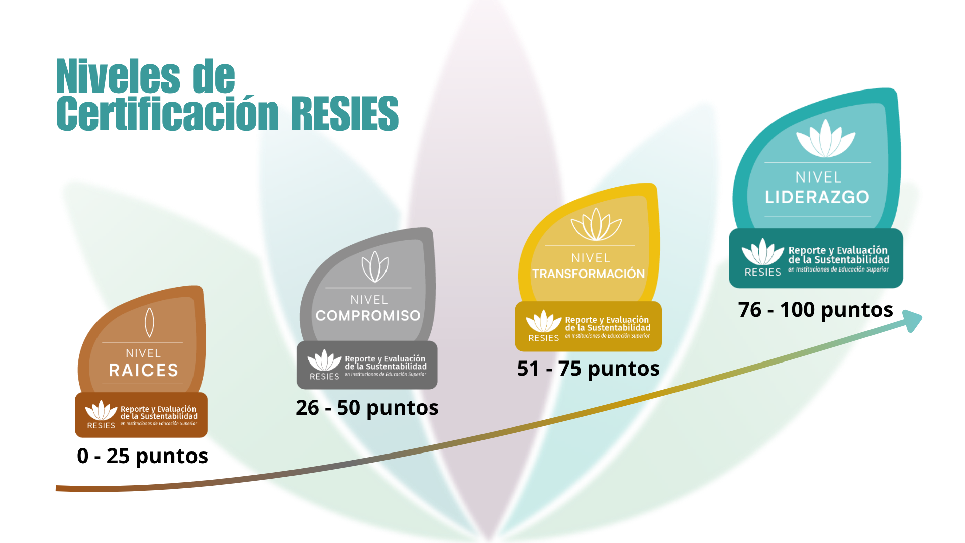 Niveles Certificación RESIES